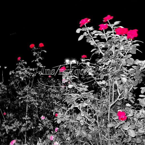 nixqq.425_ instagram image archive image