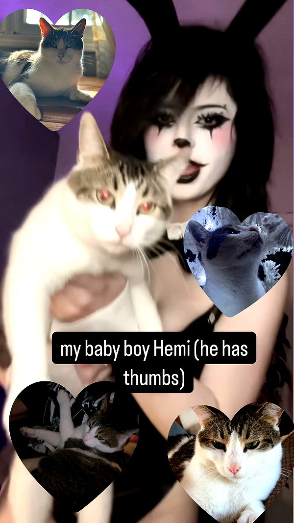malmalirl instagram image archive image