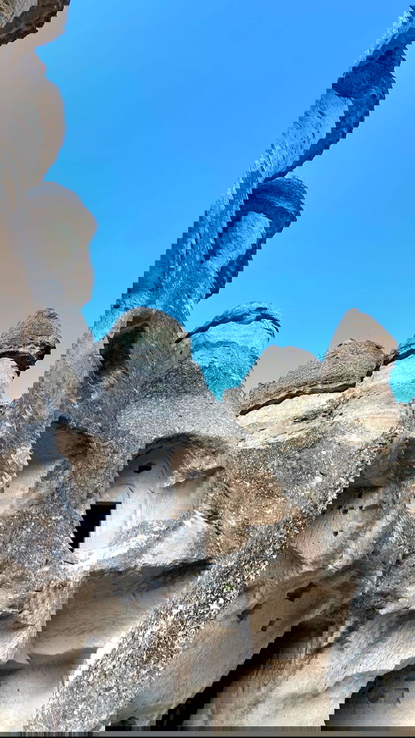 taylor.creeden taylor.creeden archive image