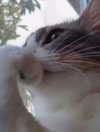 georgialeetwinn Altpins Profile Picture