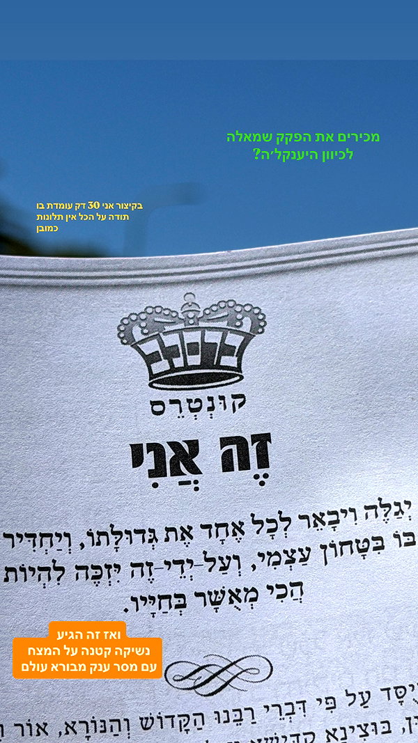 shahar__hauon instagram image archive image