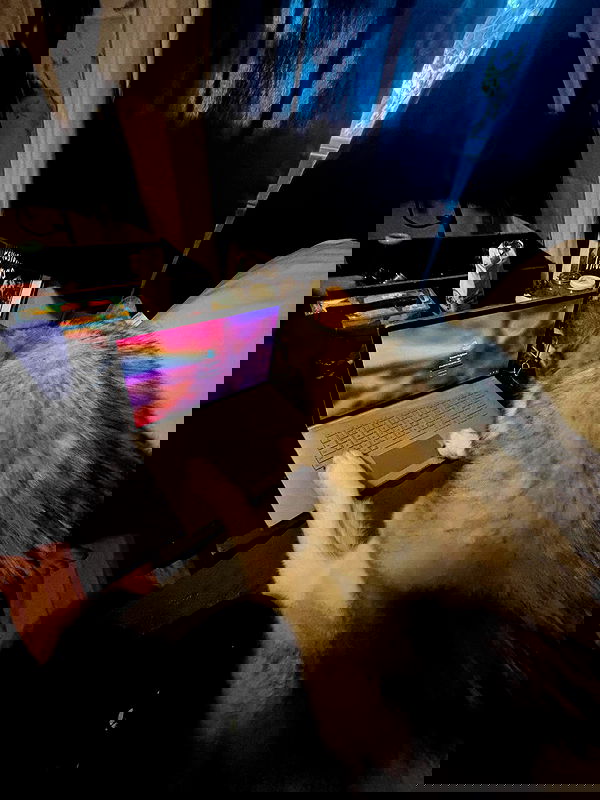 _animechika_ _animechika_ archive image