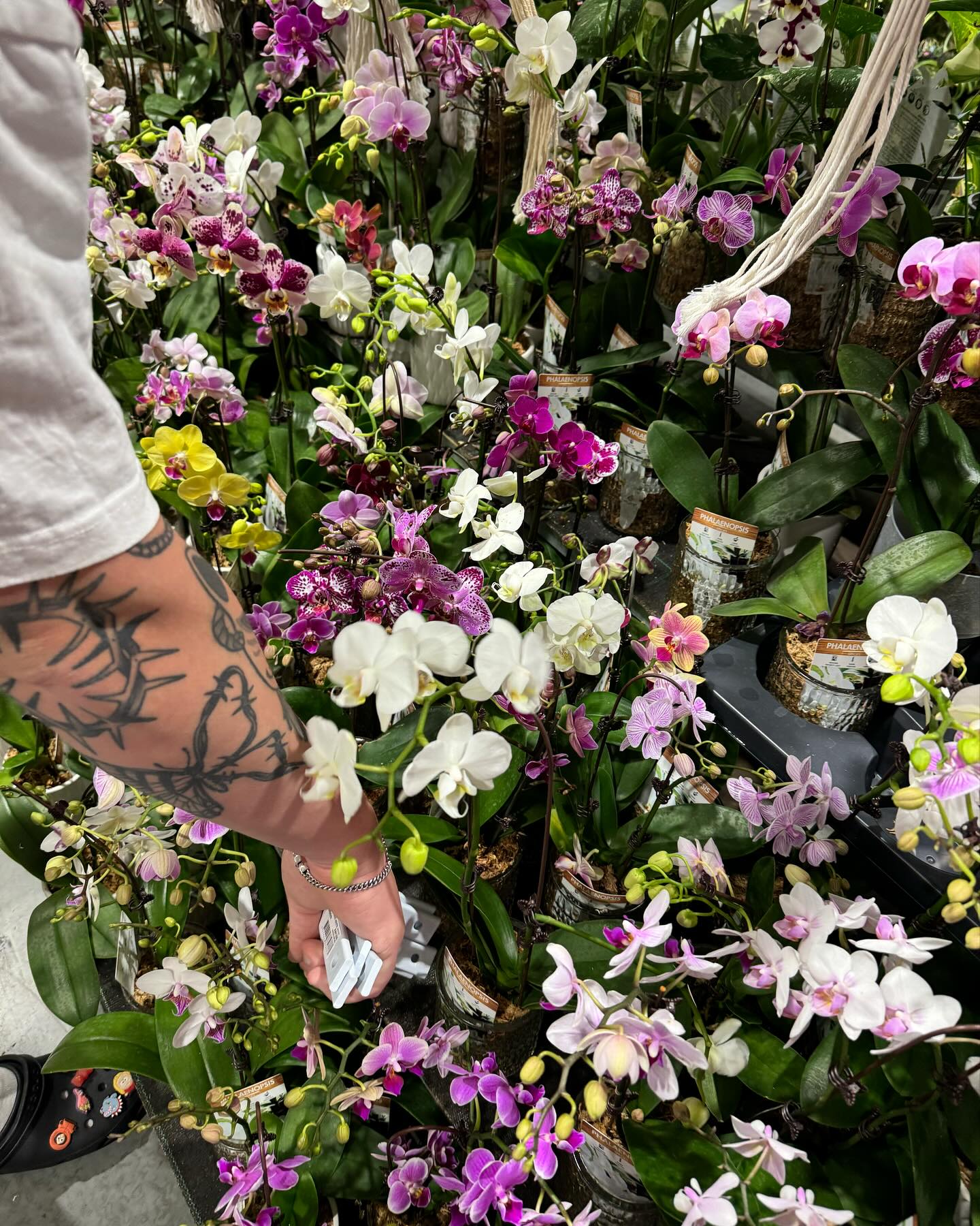 jtilb2 instagram image archive image