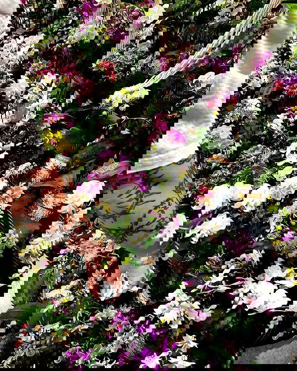 jtilb2 image ~ Altpins