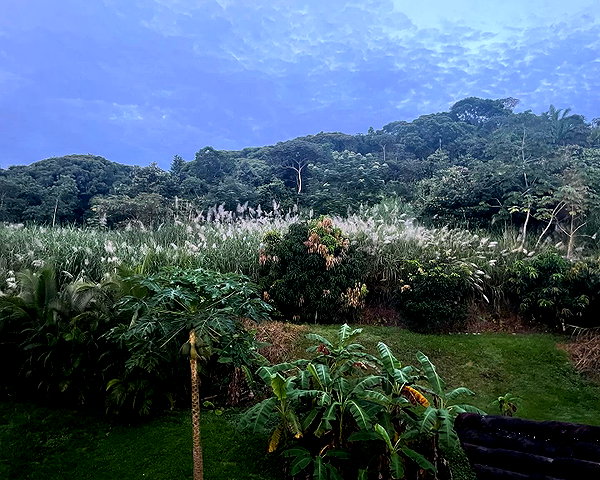 lolontlia instagram image archive image