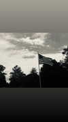 annabottoo Altpins Profile Picture