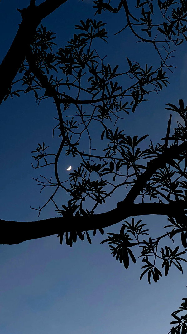 shpaakova instagram image archive image