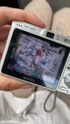 teakitten_ Altpins Profile Picture