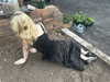 ash.onme Altpins Profile Picture