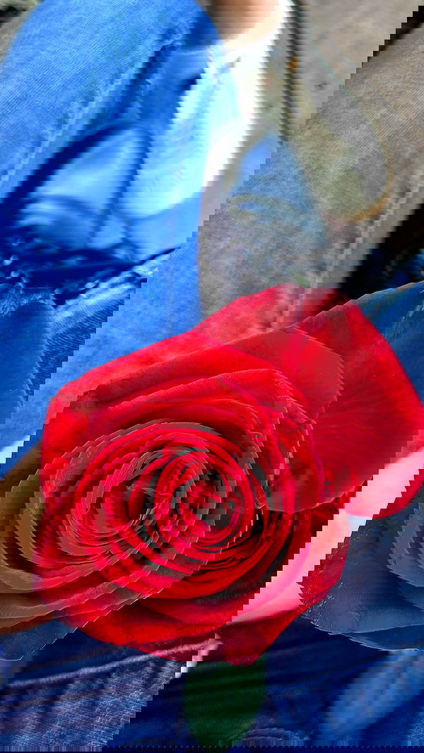 dante_yangpa dante_yangpa archive image