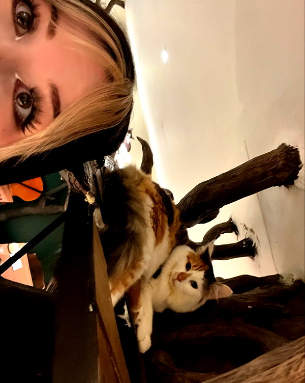danielle.mercedie instagram image archive image