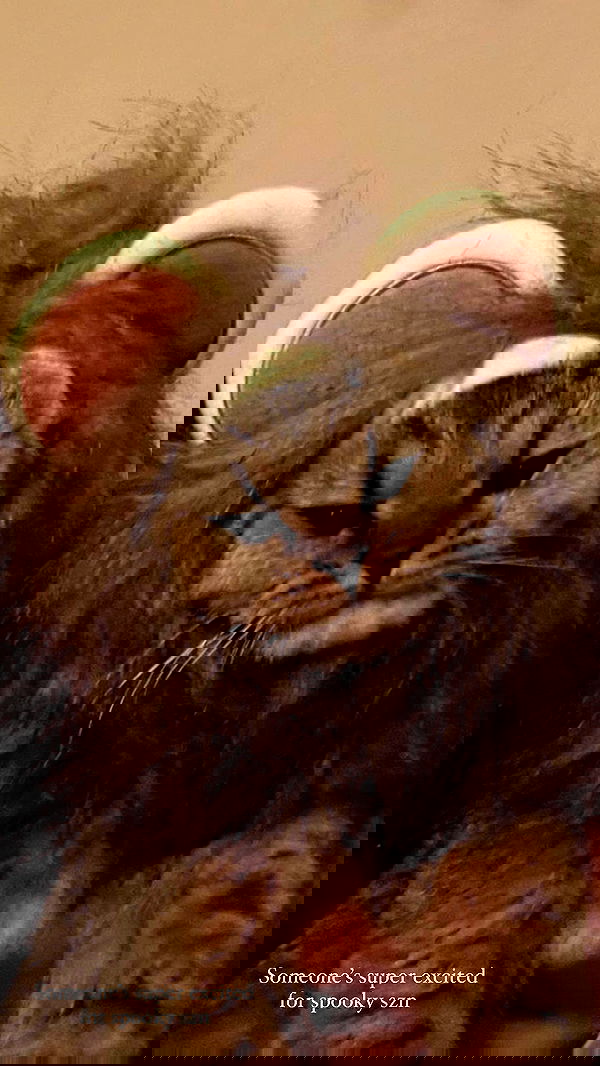 taylor.creeden taylor.creeden archive image