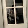 camila_cabello Altpins Profile Picture