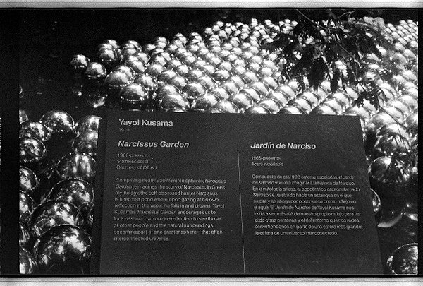 indenavarrette archive image