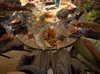 _femalien Altpins Profile Picture
