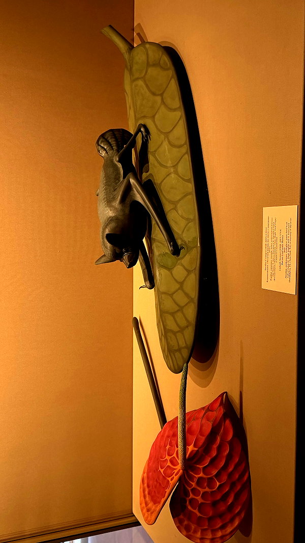 akirabl06d instagram image archive image