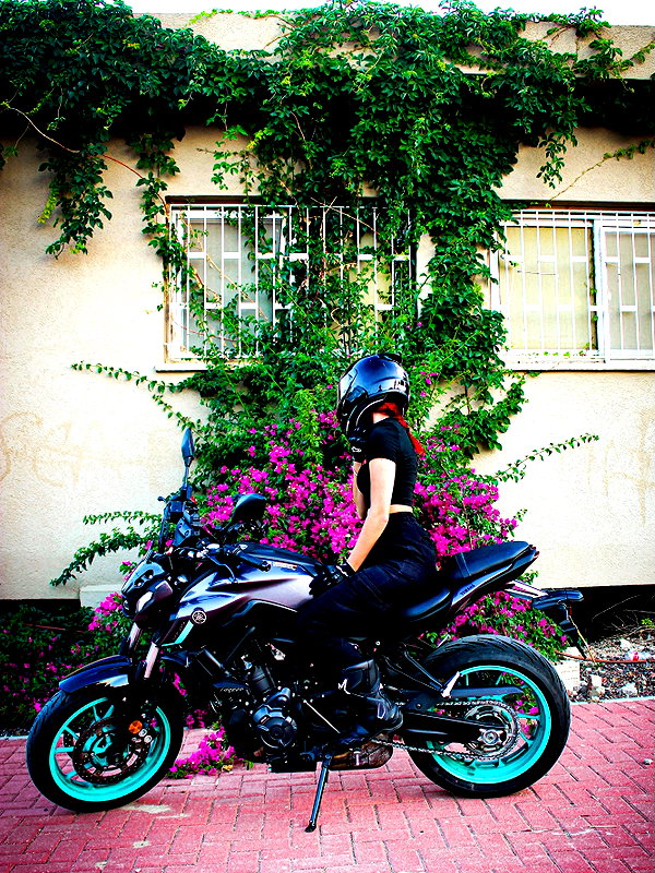 shanidahan7 shanidahan7 archive image
