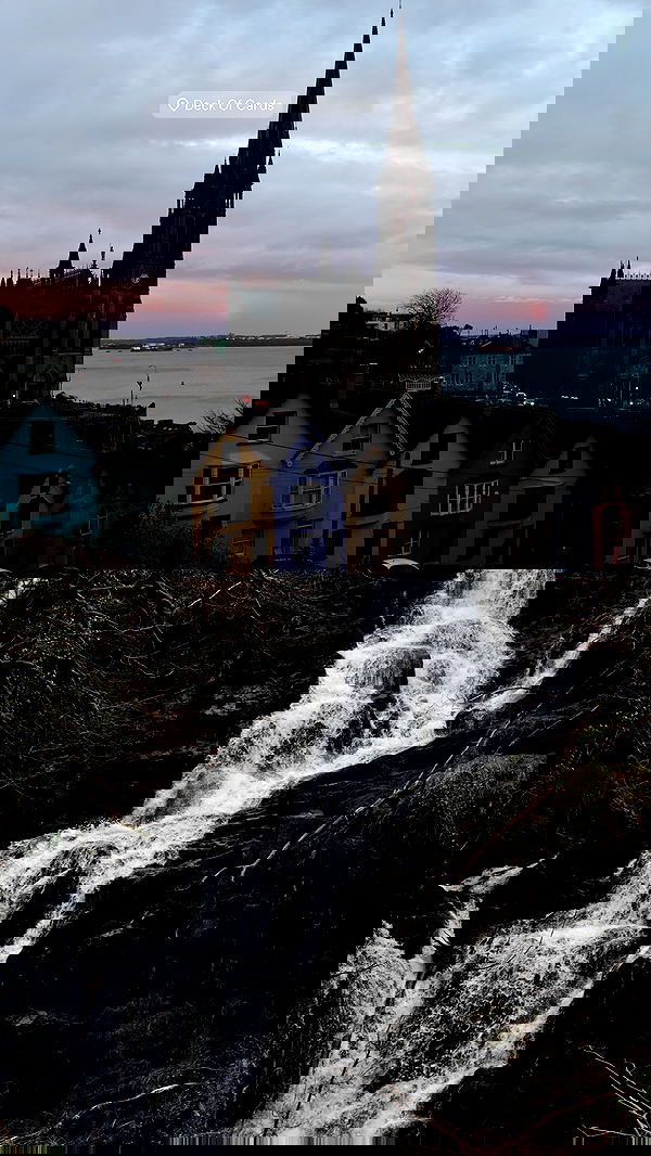 taylor.creeden taylor.creeden archive image