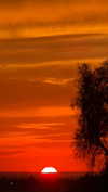 efrat_elmalich Altpins Profile Picture