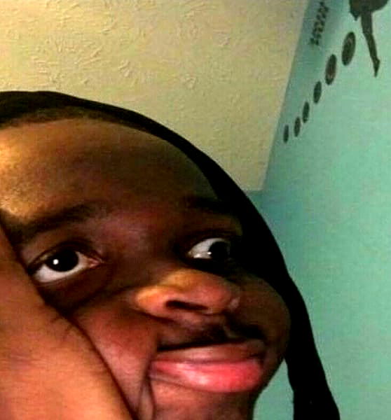 annfigmax image ~ Altpins