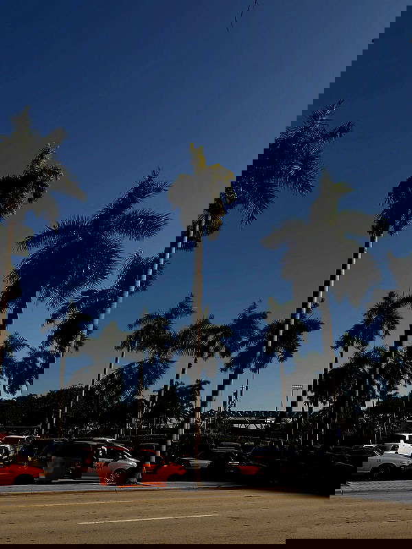 gwendolynceline gwendolynceline archive image