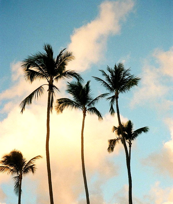 pia__kim instagram image archive image