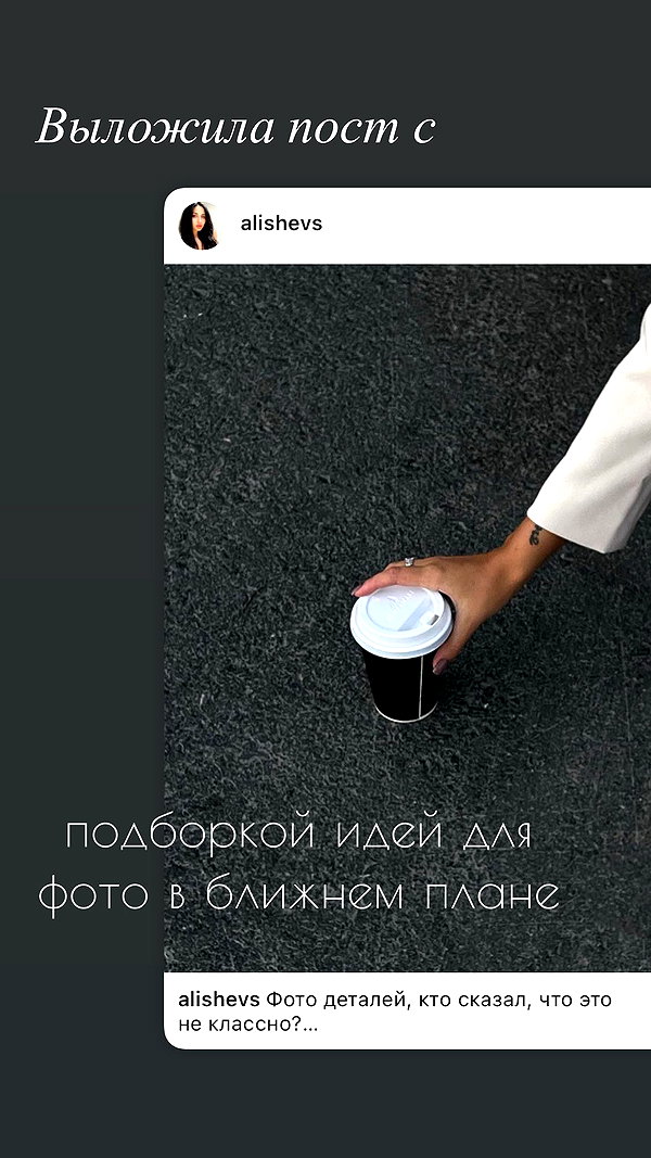 alishevs instagram image archive image