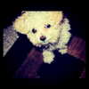 lucyhale Altpins Profile Picture