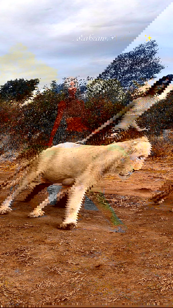 taylor.creeden taylor.creeden archive image