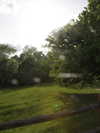 elizabethcampbelljones Altpins Profile Picture
