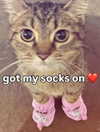 catl0verr69 Altpins Profile Picture