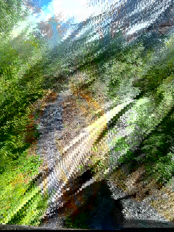 tatum.ricee tatum.ricee archive image