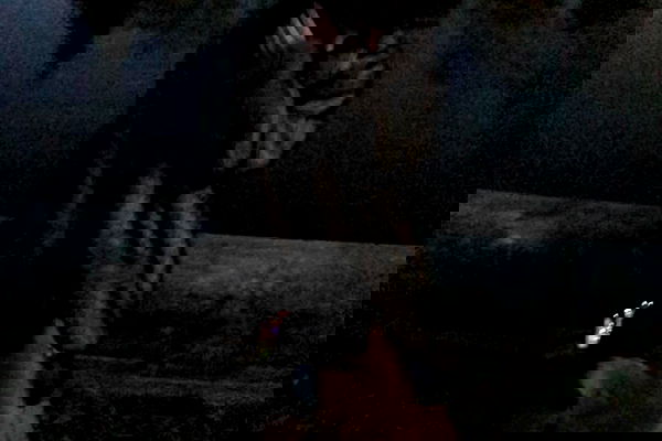 zommmbri zommmbri archive image