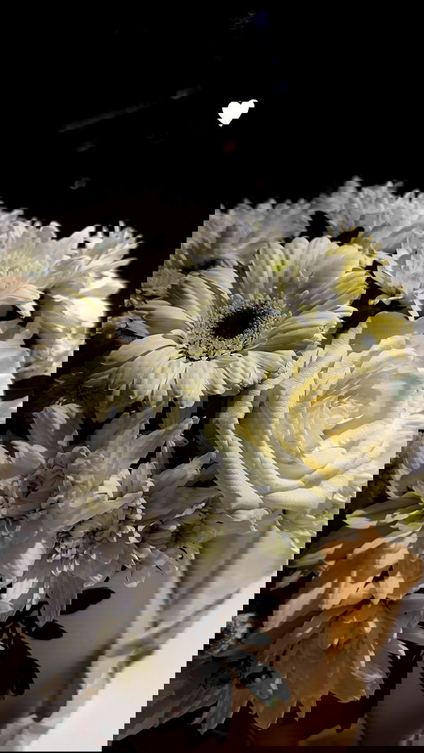 yanamarkeshtv image ~ Altpins