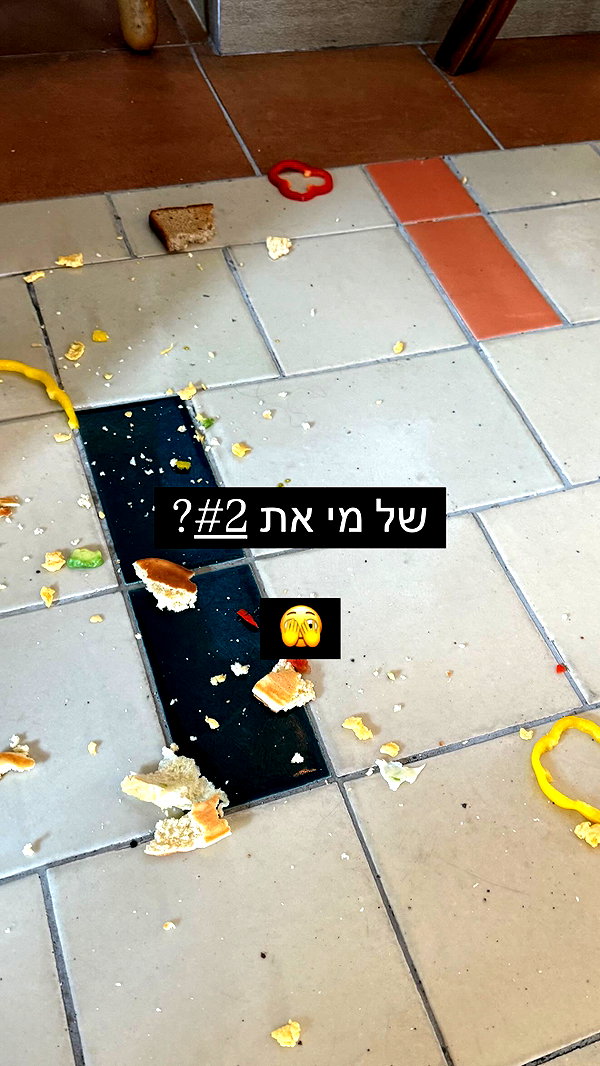 barzomer instagram image archive image