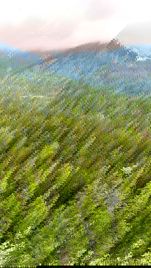 taylor.creeden taylor.creeden archive image