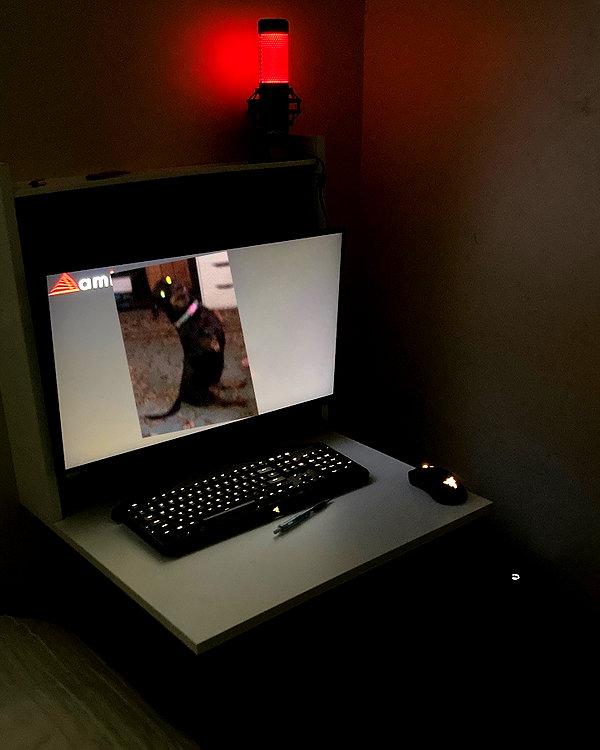 carmaxlla instagram image archive image