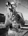 gigihadid Altpins Profile Picture
