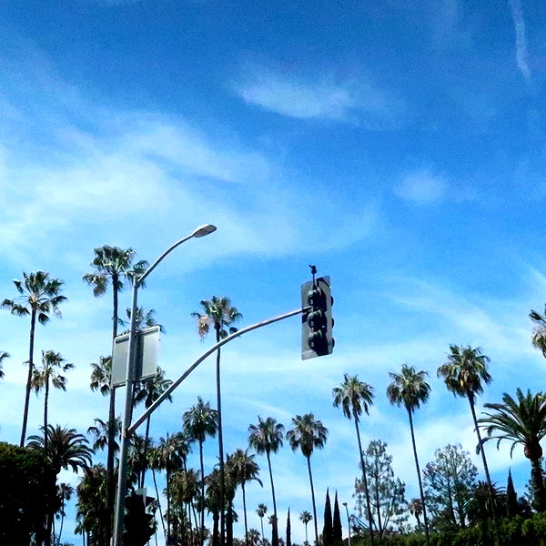 ashleybenson instagram image archive image