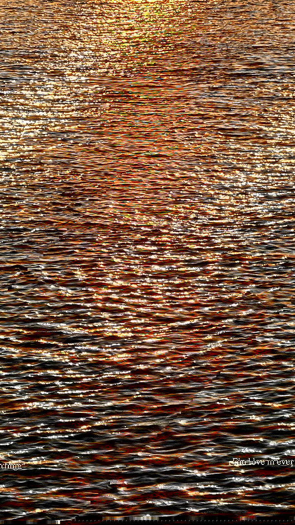 taylor.creeden taylor.creeden archive image