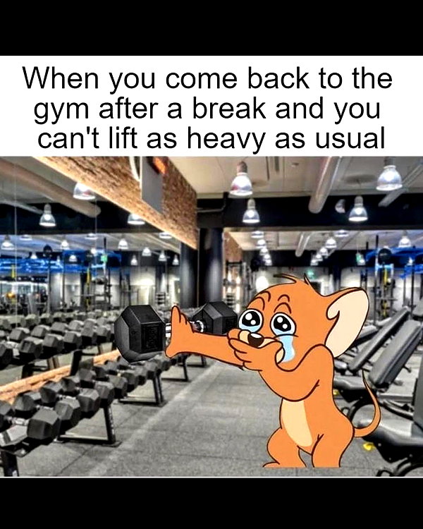 leanbeefpatty instagram image archive image