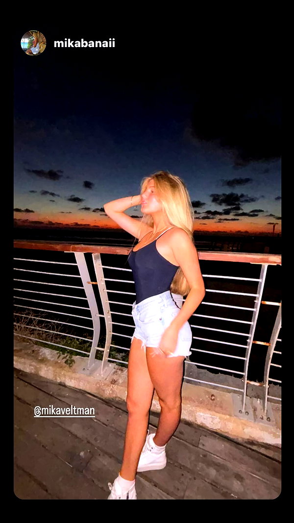 mikaveltman archive image