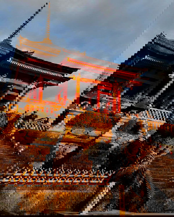 paigeinsco paigeinsco archive image