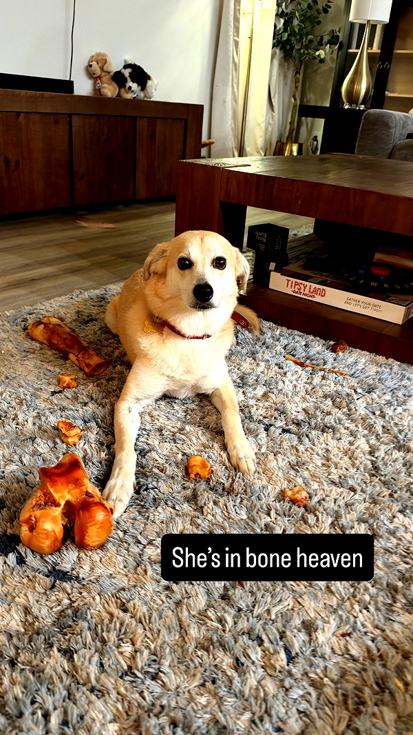 Archived image from @lu2hot on Instagram