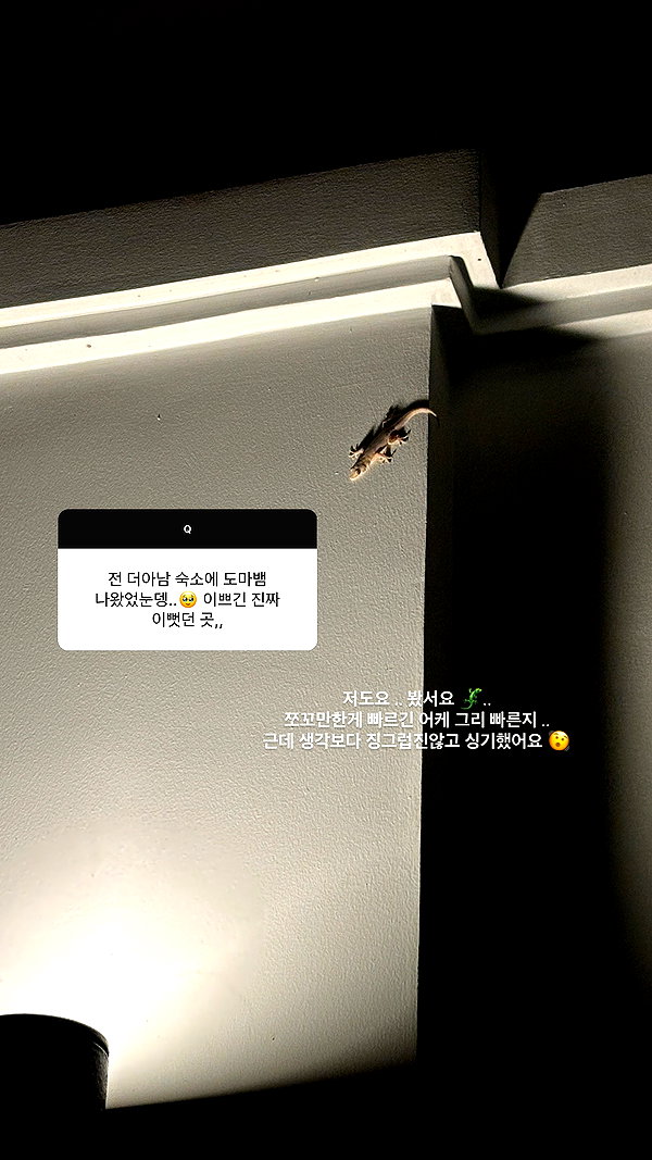 daxbin instagram image archive image