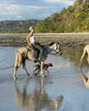 reneeebeller Altpins Profile Picture