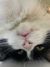sulisssx Altpins Profile Picture