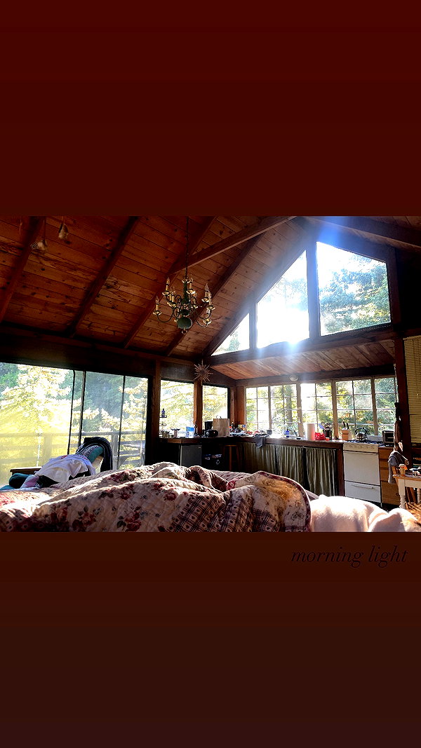 adyanacovelli instagram image archive image