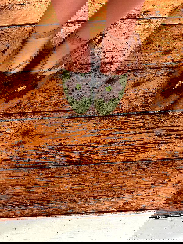 kitty.elliss kitty.elliss archive image