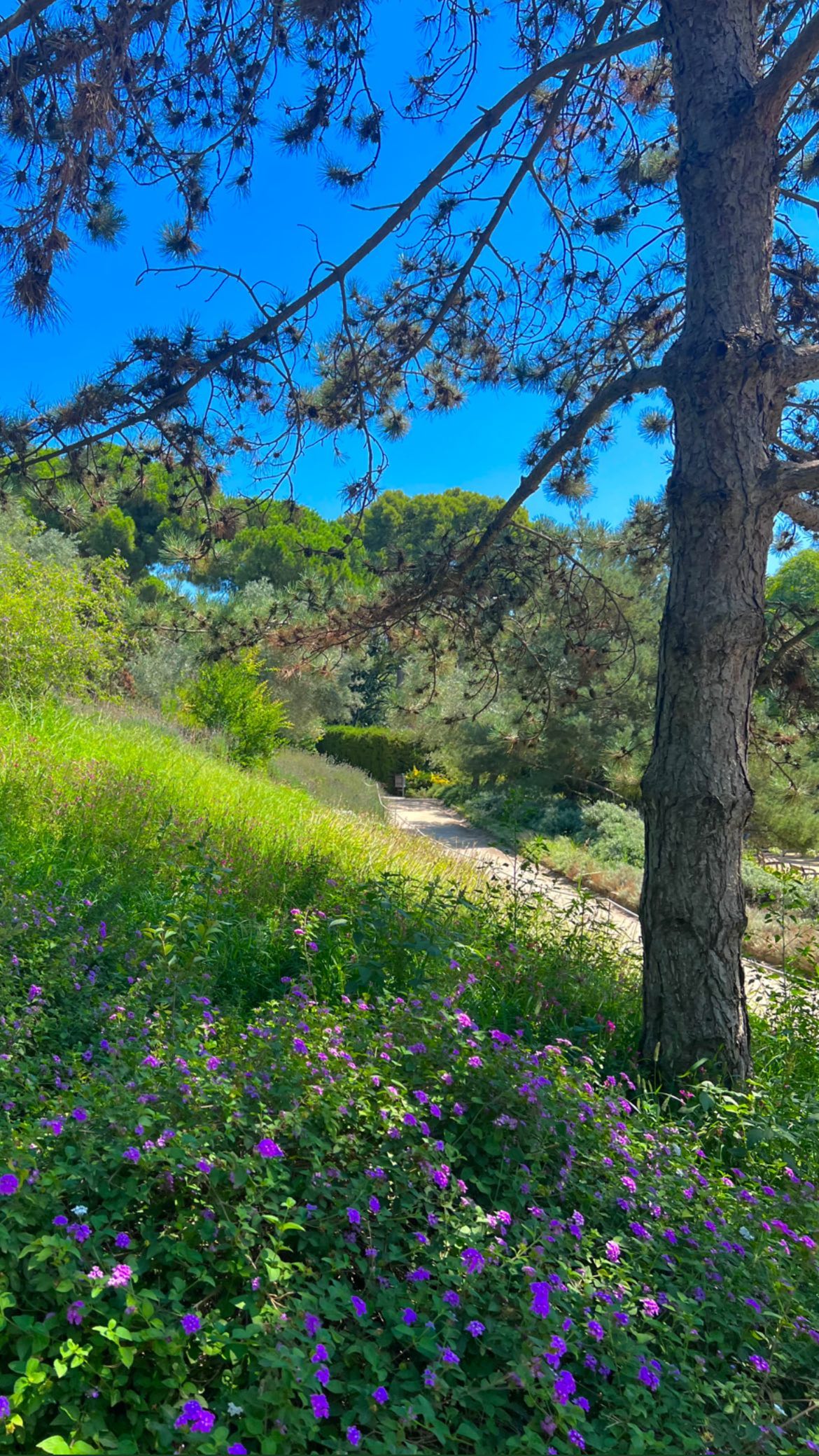 leonanaomii instagram image archive image